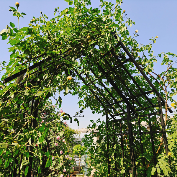 Metal Garden Arch with Adjustable Width W68.11''~W94.29''  Climbing Plants Support Rose Arch Outdoor Black-13
