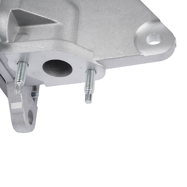 二次空气喷射止回阀 Secondary Air Injection Pump Valve Fits For Toyota Tundra Sequoia 4.0L 2571031011 2571031010 2571031012-7