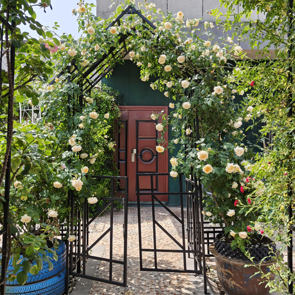 Metal Garden Arch with Gate W58.07*H97.24 Climbing Plants Support Rose Arch Outdoor Black-2