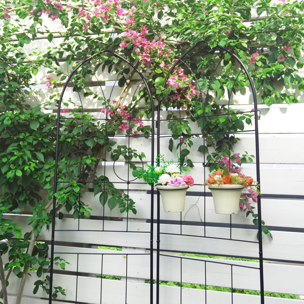 2 Pack Metal Garden Trellis 78.7" x 19.7" Rustproof Trellis for Climbing Plants Outdoor Flower Support Black-5