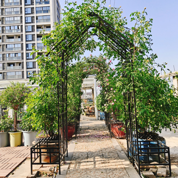 Metal Garden Arch with Adjustable Width W68.11''~W94.29''  Climbing Plants Support Rose Arch Outdoor Black-12