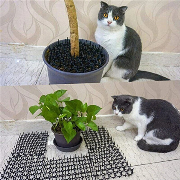 6个装 防猫刺条13*49CM-5