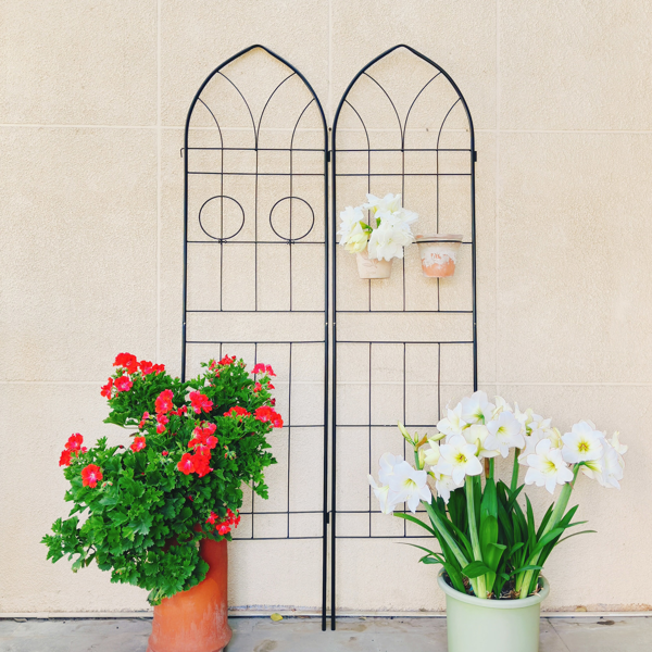 2 Pack Metal Garden Trellis 78.7" x 19.7" Rustproof Trellis for Climbing Plants Outdoor Flower Support Black-6