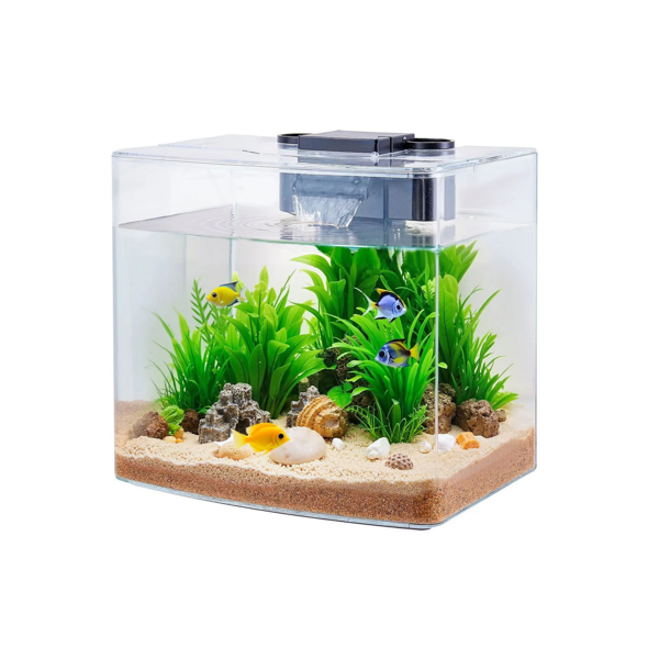 自洁鱼缸水族馆，淡水和咸水鱼鱼缸，家庭，办公室和宠物使用（仅鱼缸）-2