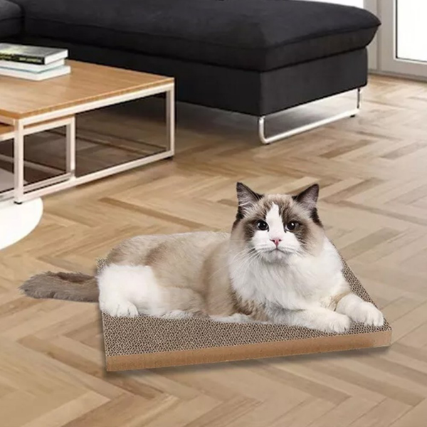 猫抓板-10