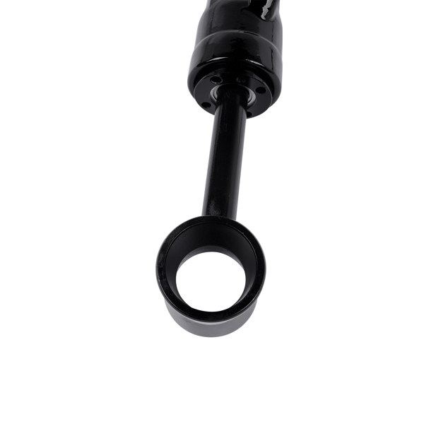 液压缸 Power Trim Tilt Ram Cylinder Port Starboard Replacement for MerCruiser Mercury Bravo ONE X-10